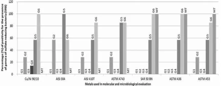 Figure  3  -  Graphical  representation  of  results  obtained  with  the  metallic  coupons  collected  in  two  periods  of  exposure  showing  which  BRS  groups  were  identified  in  each  metal  and  the  percentage  of  positive  results