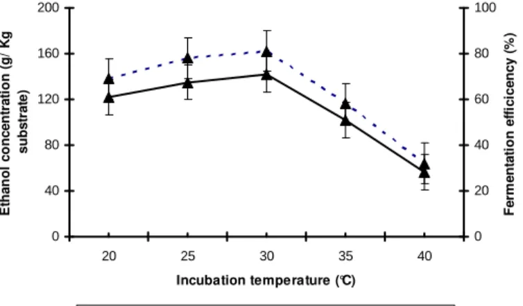 Figure  4  -  Effect  of  initial  incubation  temperature  (°C)  on  ethanol  concentration  and  ethanol  fermentation efficiency by Trichoderma sp