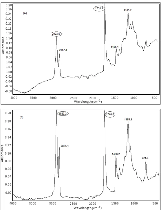 Figure 4 - Fourier-transform infrared (FT-IR) spectra of dried cell mass after extraction of (A) P6 (B)  P7
