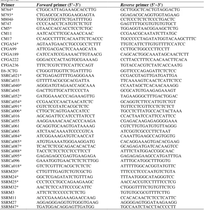 Table  3  -  List  of  the  40  pairs  of  SSR  primers  used  for  molecular  characterization  of  Coffea  arabica  e  Coffea  canephora