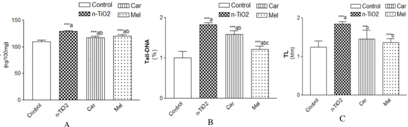 Figure  3  (A,  B)  showed  that  TiO2-NPs,  in  either  low  or  high  doses,  immunoglobulin  G  compared  with  normal  control  values  p ≤0.001