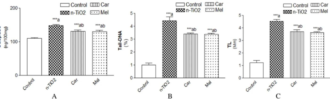 Figure 2  – A) Effect of carnosine and melatonin on levels of caspase-3 in rats taken high dose n-TiO 2