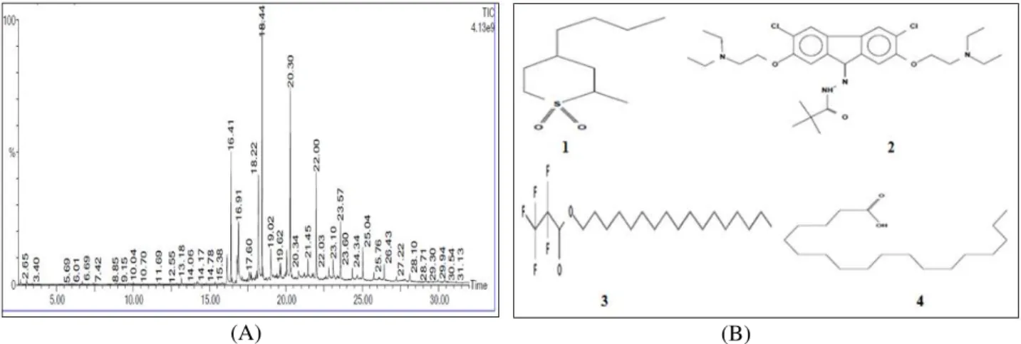 Figure 7 - Streptomyces parvulus  VITJS11  crude extract (A) Chromatogram(B) GC-MS peaks of major  volatile  bioactive  metabolites  with  molecular  structure  (1)   9-(2',2’-Dimethylpropanoilhydrazono)-3,6-Dichloro-2,7-Bis-[2  Diethylamino)  Ethoxy]Fluor