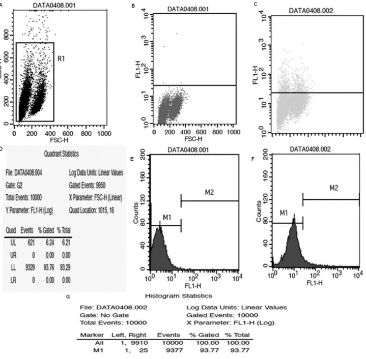 Figure 1 - The detection maps of FCM (c) and (f) are FSC-SSC two-dimensional scatter diagrams and  FLI  histograms,  respectively,  after  the  leukocyte  in  the  fresh  blood  combines  the  bovine  IgG marked with FITC