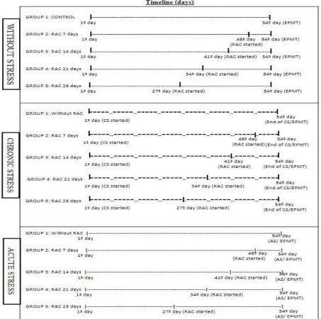 Figure 1 - Timeline of Ractopamine treatment procedures and exposure to stress. On the first day of  the  experiment  all  animals  were  approximately  67  days  of  age,  on  the  27th  day  were  94  days old, on the 34th had 101 days, on the 41th had 1