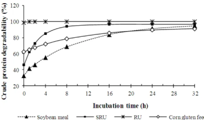 Figure 1 - Degradation curve of crude protein (CP)  for  evaluated  feeds  (soybean  meal; 