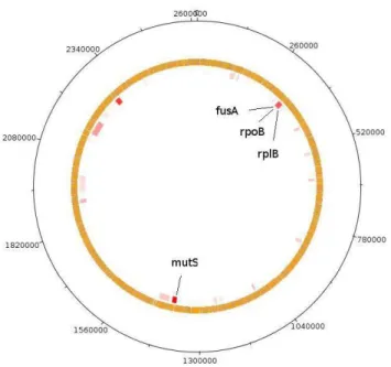Figure  6  -  Chromosomal  islands  in  Pelotomaculum  thermopropionicus.  Putative  horizontal  transferred  genes  are  mapped in the genome in different color tones according to the Alien Hunter program scores