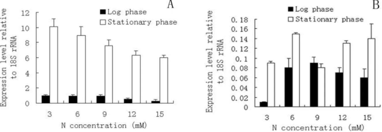 Figure  4  - Quantification  of  the  expression  of  pathway  genes,  accD(A)  and  acc1(B)  related  with  lipid  synthesis  in  Chlorella  sorokiniana with  different  N  concentrations,  where  the  results  were  normalized against the control gene (1