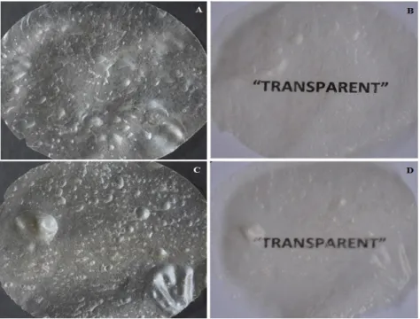 Figure 1 - Typical morphology of chitosan-xanthan films regarding the visual aspect: (A and B)  C-X pilot  films; (C and D) C-X Keltrol  films