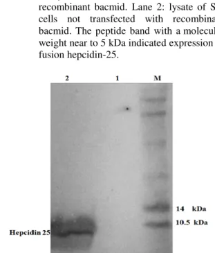 Figure 4 - Hepcidin effects on serum iron concentration. 