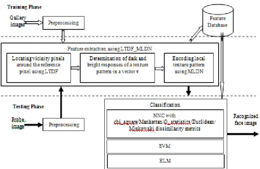 Figure 1. Graphical illustration of the face recognition process using the LTDF_MLDN feature