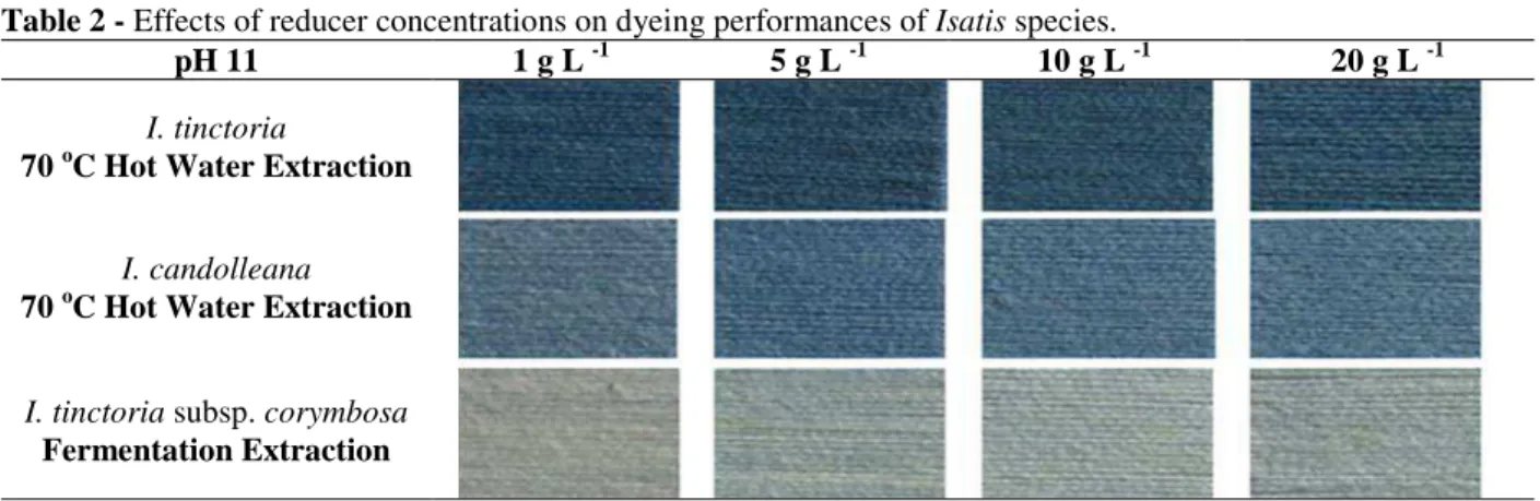 Table 2 - Effects of reducer concentrations on dyeing performances of Isatis species. 