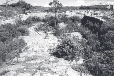 Fig. 30 – Cercado e “Eira de Poço” que recolhe as águas pluviais que abastecem a Pia da Serra (perspectiva posterior).