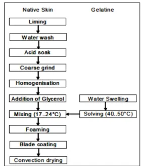 Figure  1  -  Manufacturing  procedure  of  collagen  -  gelatine sponges by convection drying