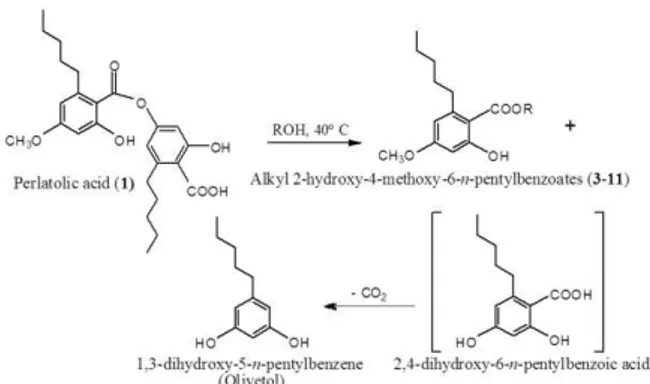 Figure  2.  Alcoholysis  of  perlatolic  acid  (1)  producing  Alkyl 2-hydroxy-4-methoxy-6-n-pentylbenzoates(3-11),  2,4-dihydroxy-6-n-pentylbenzoic  acid  and   1,3-dihydroxy-5-n-pentylbenzene (olivetol)