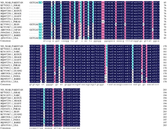 Fig 4:  Multiple sequence alignment of partial fusion gene (203bp) of different reported NDV isolates along  with NDV isolate of Pakistan (ND-NIAB-Pak).