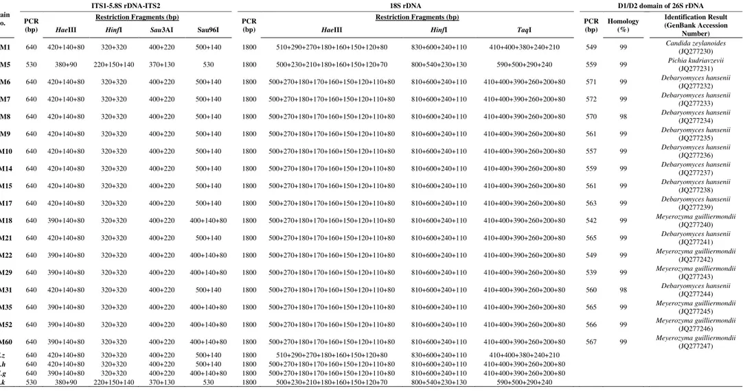 Table 4 - Molecular characterization of yeasts expressing killer character 