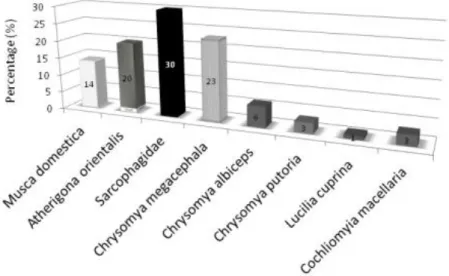 Figure 1 - Percentage of each species collected. Results are based on morphological identification