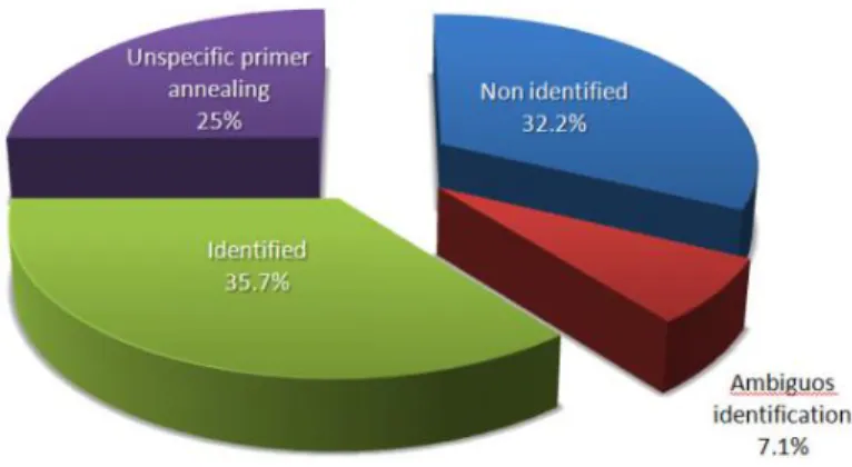 Figure 2  –  General result of this work in percentage. 