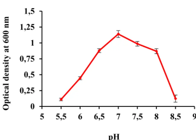 Figure 2: Scanning Electron Micrograph of isolate TP-2    Physiological  and  biochemical  characters  are  significant as they give indications for selection of  efficient strains for additional studies principally of  applied  value