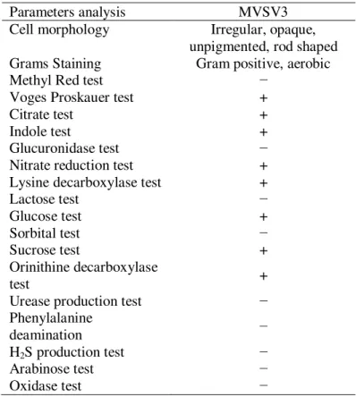 Table 1: Characteristics of bacterial isolate MVSV3 