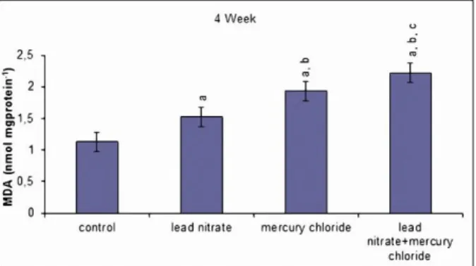 Figure  1:  Effects  of  subacute  treatment  of  lead  nitrate  and  mercury  chloride  on  MDA  levels  in  the  testis  tissues  of  rats