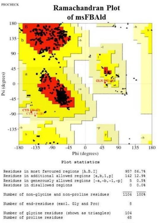 Figure 6. Ramachandran plot of the modeled structure of msFBAld generated via PROCHECK