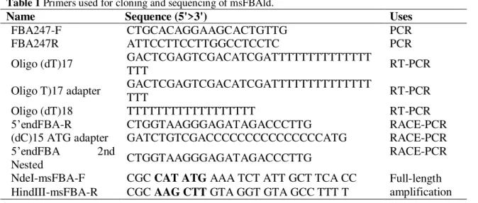 Table 1 Primers used for cloning and sequencing of msFBAld. 