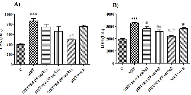 Figure 2. Effects of Edaravone on Methamphetamine - -induced  ROS  production  in  heart  tissue  Data  were  expressed as mean±SEM (n = 6 )