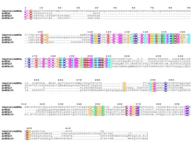 Figure 1: Protein sequence alignment of  OsMYB1  with putative homologs from Arabidopsis thaliana