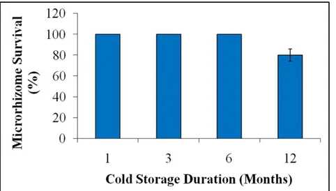 Figure 4 - Survival percentage of in vitro cold stored (10 0 C in dark) synthetic seeds of Acours calamus, after the  re-culture