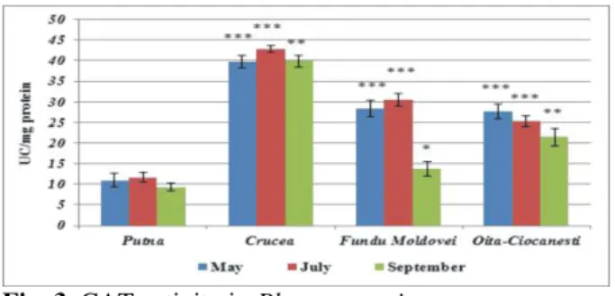 Fig. 3. CAT activity in Plantago major