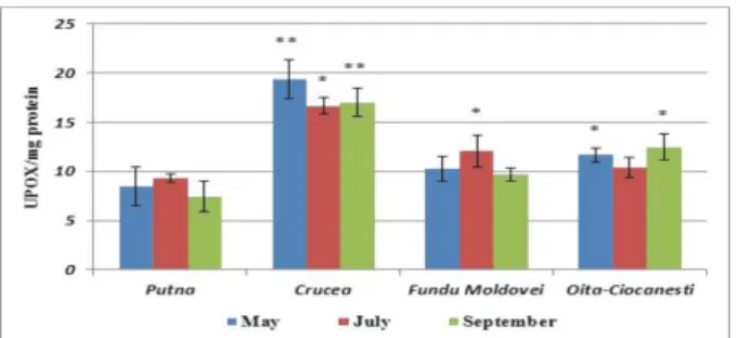 Fig. 5. POX activity in Plantago major 
