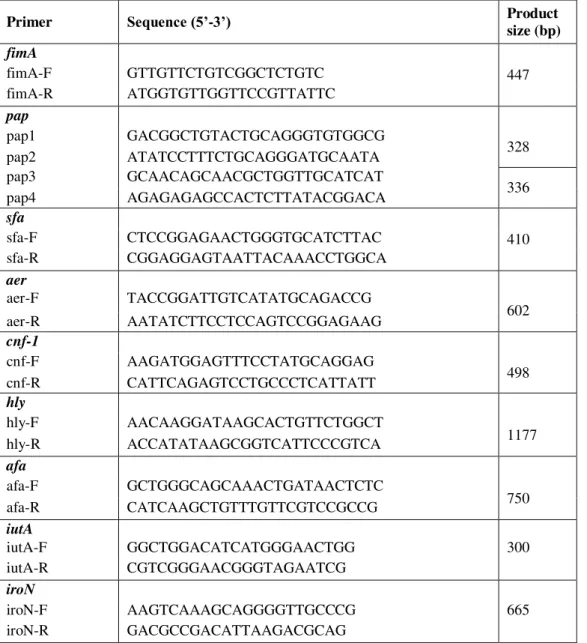 Table 2. Virulence gene regions of E.coli 13,14,19 