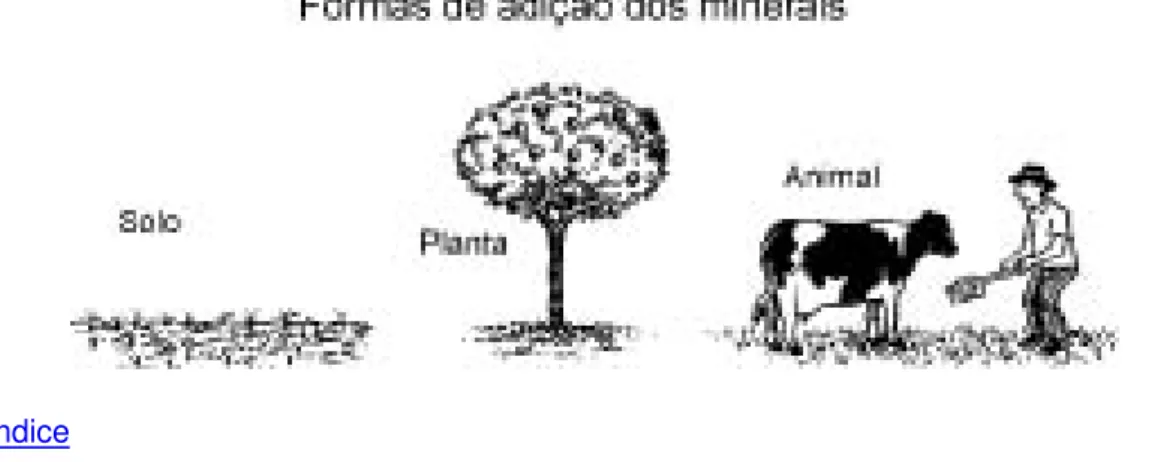 Figura 1 Composto orgânico em arco.