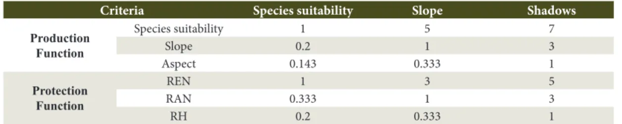 Table 2. Comparison matrix for production and protection functions.