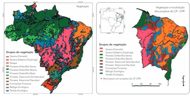 Figura 5: Mapa de classes de  vegetação do Brasil (IBGE, 1993).