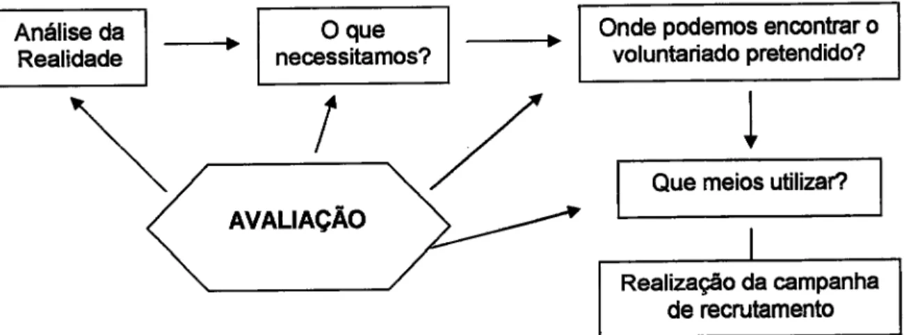 Figura  n.o  1  -  Desenvolvimento  do  Recrutamento