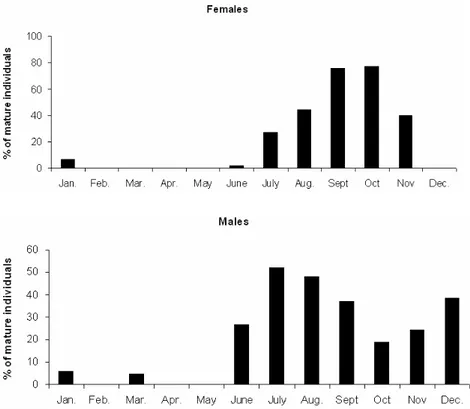 Figure 4 - Mimagoniates microlepis frequency of mature individuals at Ribeirão River during 2002 