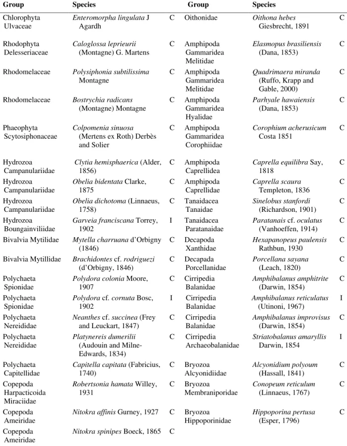 Table 1 - A list of cryptogenic (C) and introduced (I) species found on the structures of the Yacht Club in Paranaguá  Bay, in the state of Paraná, southern Brazil