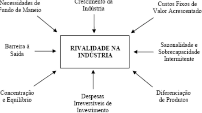 Figura 16 ⎢ Determinantes da rivalidade, (Santos, 1990) 