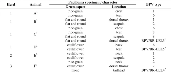 Table 1 - Distribution of bovine papillomavirus types found in multiple infections.