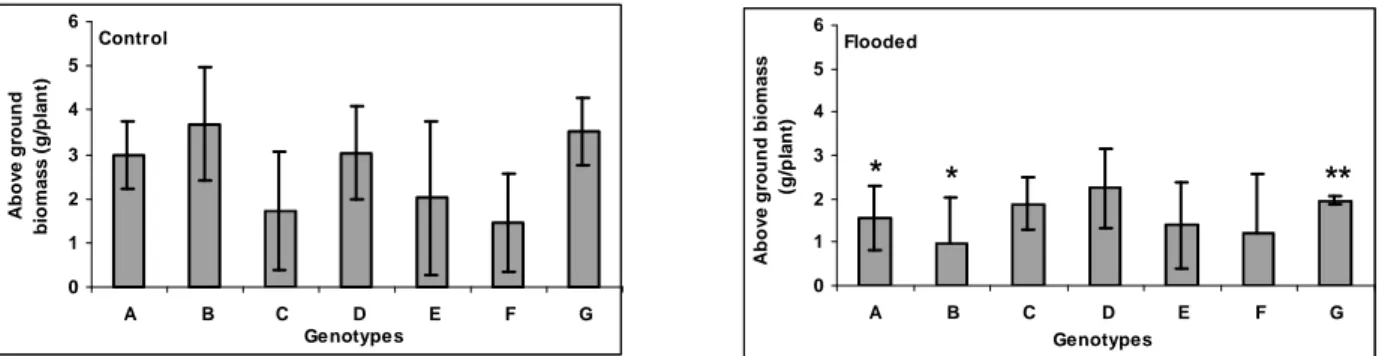 Figure 2 - Aboveground biomass of Panicum maximum genotypes PM40 (A), PM45 (B), cv. Massai  (C),  cv