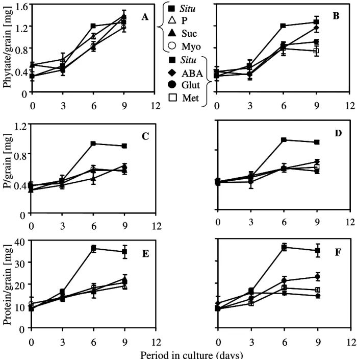 Figure  2  -  Phytic  acid,  phosphorus  (P)  and  protein  contents  of  common  bean  seed  from  fruit  explants  cultured  in  medium  basal  amended  with  fixed  concentration  of  compounds  at:  12  mM  phosphorus (     ); 80 mM glutamine (     ); 