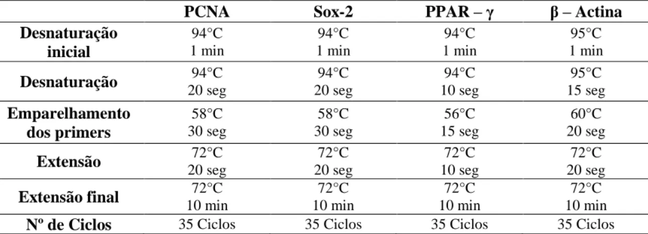 Tabela 3 – Condições das reações de polimerização 