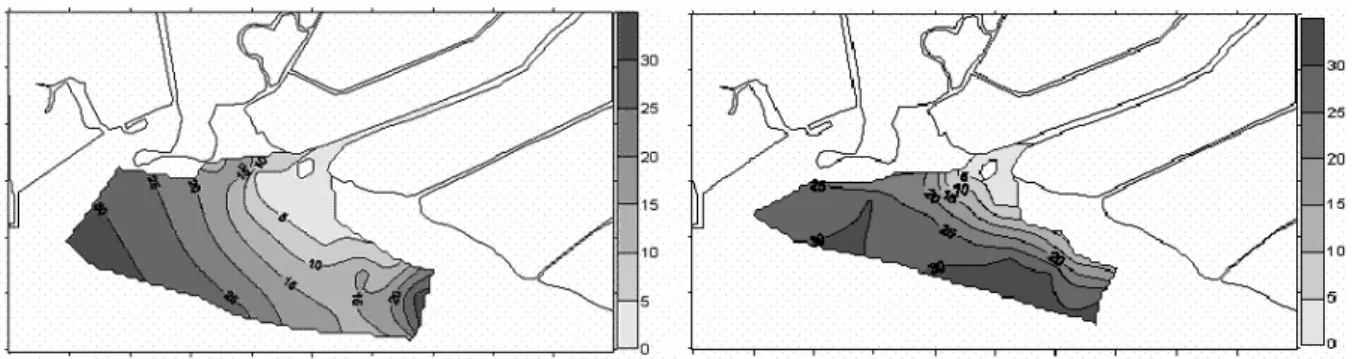 Figure  2  -  Horizontal  distribution  of  salinity  in  January  (a)  and  in  June  (b)  2003  of  the  São  Francisco river plume, Sepetiba bay