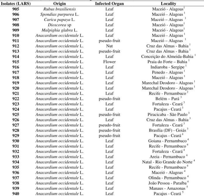 Table 1 - Colletotrichum/Glomerella isolates from Brazil used in this study (include LARS 009, 058, 074, 076, 141,  164, 167, 202, 238, 414, 501, 781 from different origins)