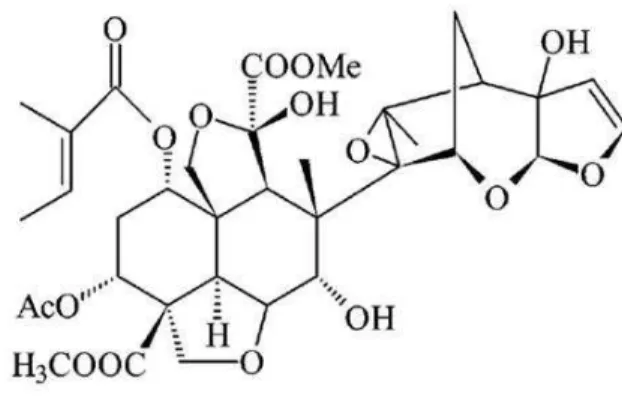 Figure 1 - The AZA molecule structure (C 35 H 44 O 16 ) is a  tetratriterpenoid  produced  by  Azadirachta  indica, mainly stored in seeds and leaves