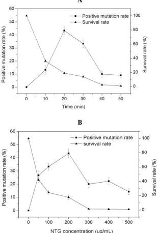 Figure 2 - The survival rate and positive mutation rate  at  different  reaction  times  and  NTG  concentrations
