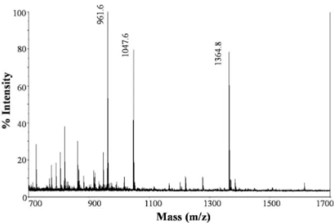 Figure  3  -  MALDI-TOF-TOF  of  peak  Ic  isolated  by  RP-HPLC. 